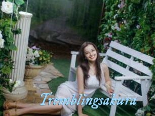 Tremblingsakura