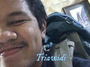 Triawidi