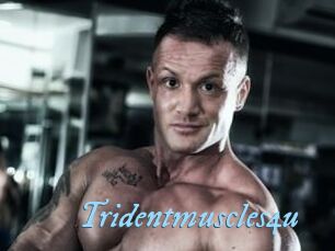 Tridentmuscles4u