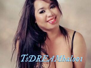 TsDREAMhalo01