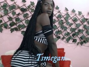 Tsmegan