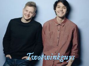 Twotwinkguys