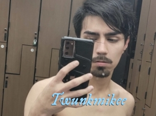 Twunkmikee