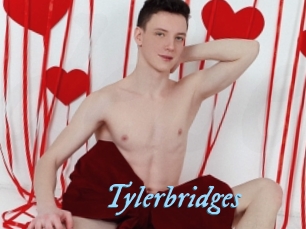 Tylerbridges