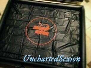 UnchartedSexion