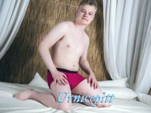 Urnicepitt