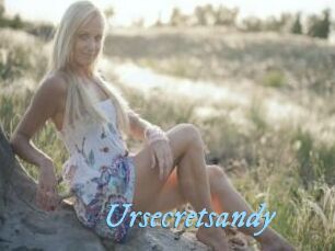 Ursecretsandy