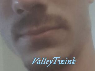 ValleyTwink
