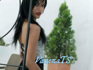 VanezaTS