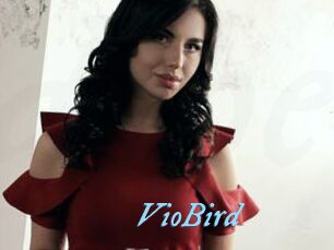 VioBird