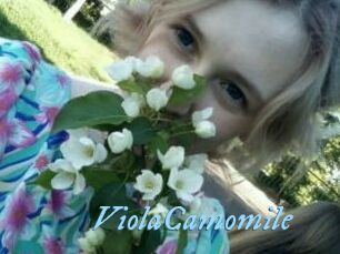 ViolaCamomile