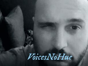 VoicesNoHue