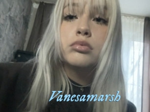 Vanesamarsh