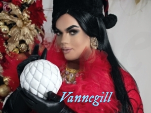 vannegill DeriheruI
