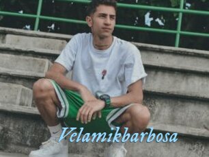 Velamikbarbosa