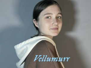 Vellumurr