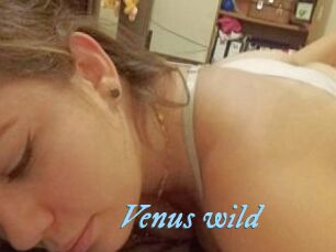 Venus_wild