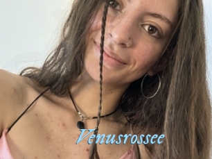 Venusrossee
