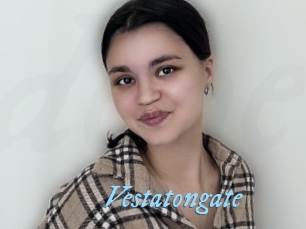 Vestatongate