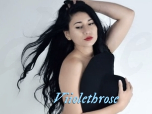 Viiolethrose
