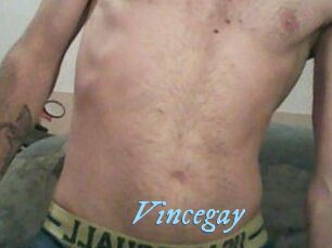 Vincegay
