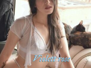 Violett_rose