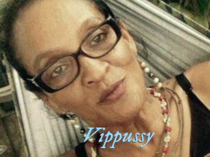 Vippussy