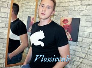 Vlossiecub