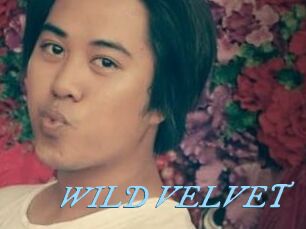 WILD_VELVET