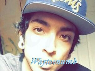 Waytoonumb