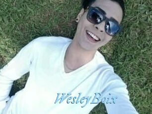 Wesley_Boix