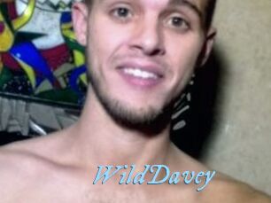 WildDavey