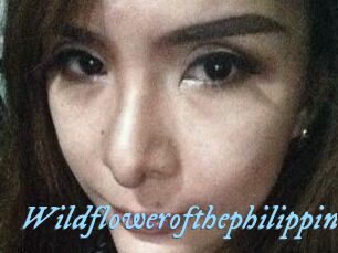 Wildflowerofthephilippines