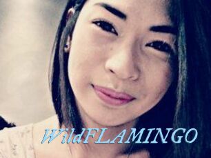 WildFLAMINGO