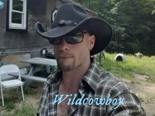 Wildcowboy