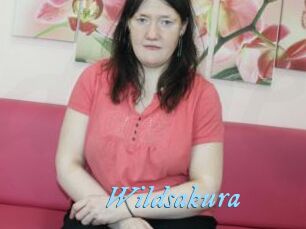 Wildsakura