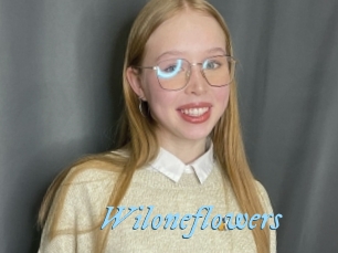 wiloneflowers DeriheruI