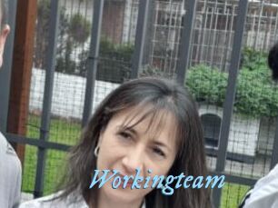 Workingteam