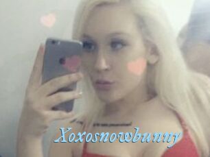 Xoxosnowbunny