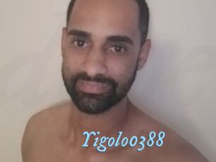 Yigolo0388