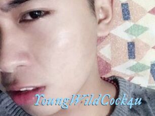 YoungWildCock4u