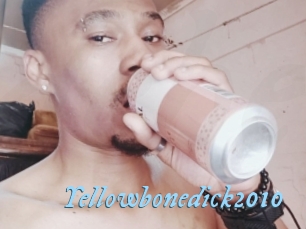 Yellowbonedick2010