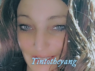 Yintotheyang