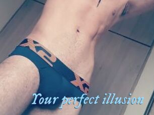 Your_perfect_illusion