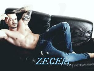ZECElei