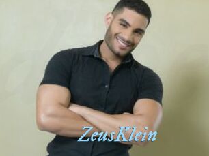 ZeusKlein