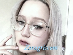 Zaragriscom