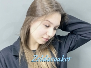 Zeldacoaker