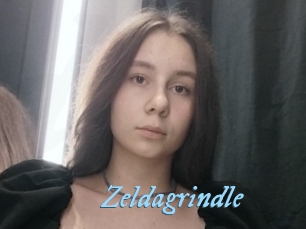 Zeldagrindle