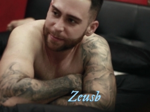 zeusb DeriheruI